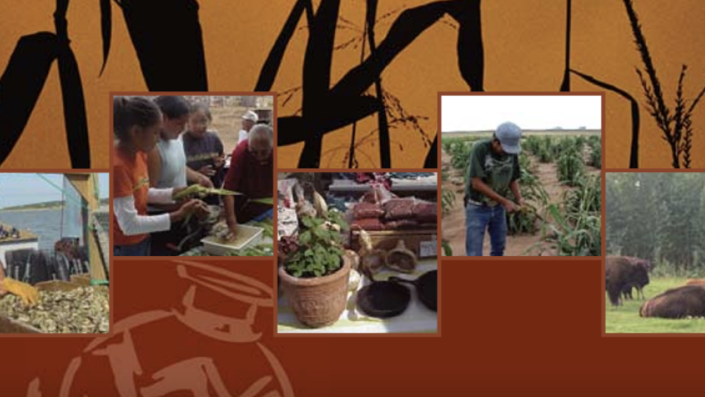 Indigenous Foods Knowledges Network: Facilitating Exchange Between ...